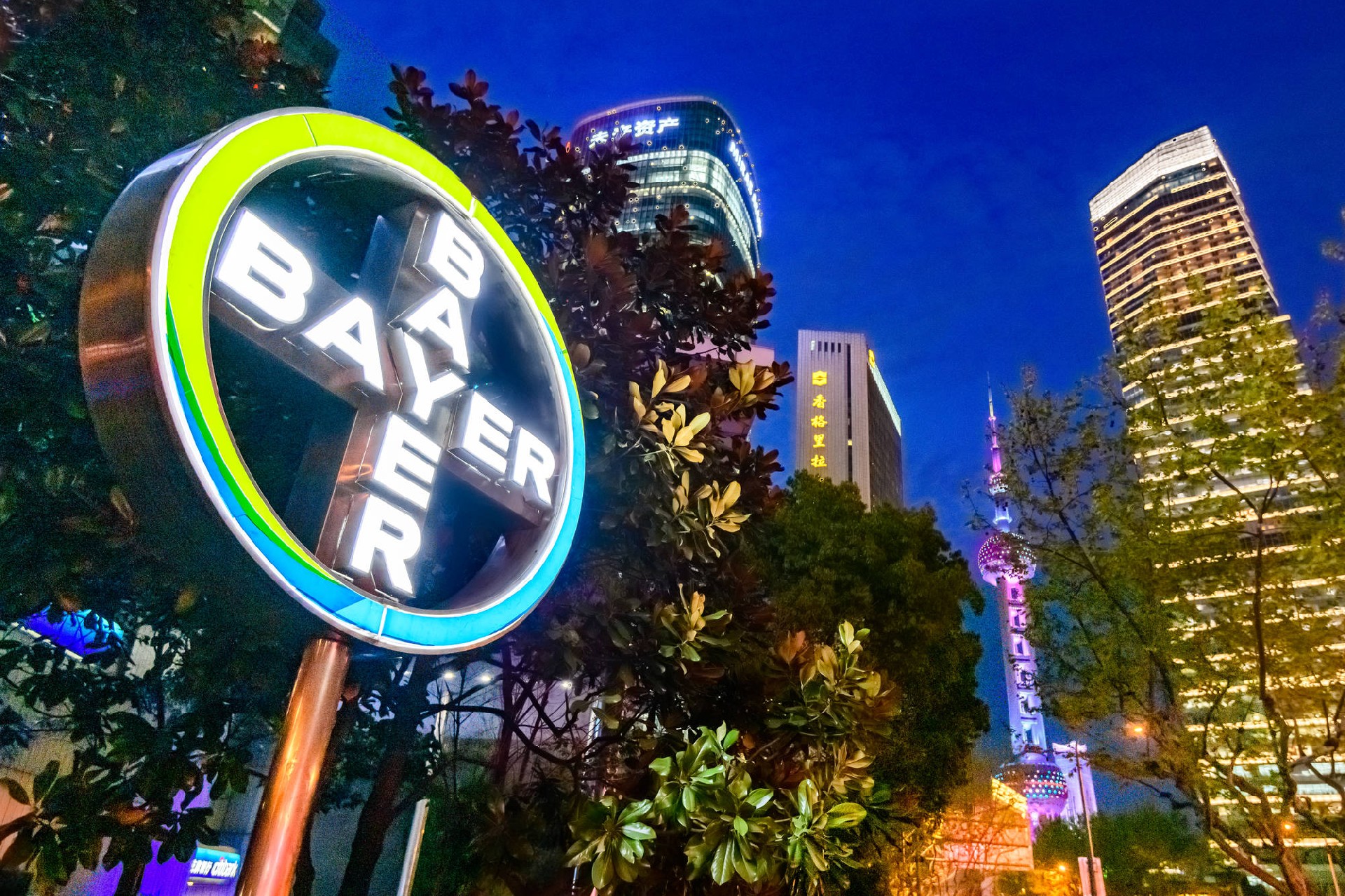 1652776082496259.jpg 03menu.jpg