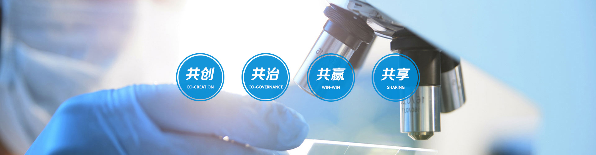 1652777850126309.jpg banner.jpg