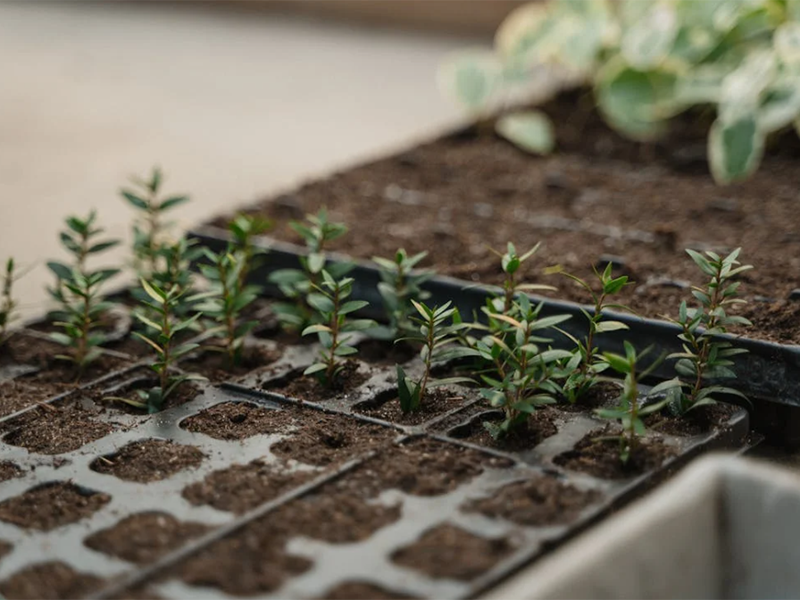 土壤氧化還原電位儀詳細(xì)參數(shù)指標(biāo)
